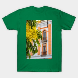 Mexico. Guadalajara. Golden Rain Tree. Blooming Branch. T-Shirt